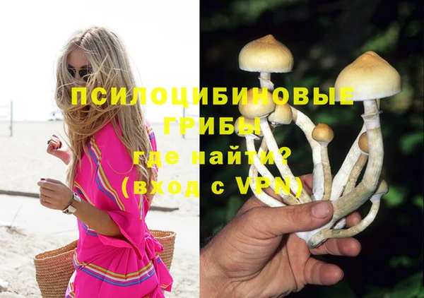 меф Арсеньев
