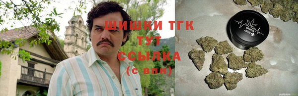 меф Арсеньев