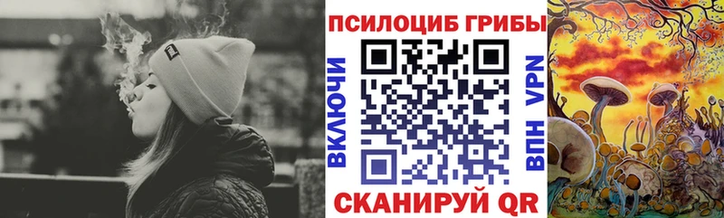 Галлюциногенные грибы мицелий  купить  цена  Лермонтов 